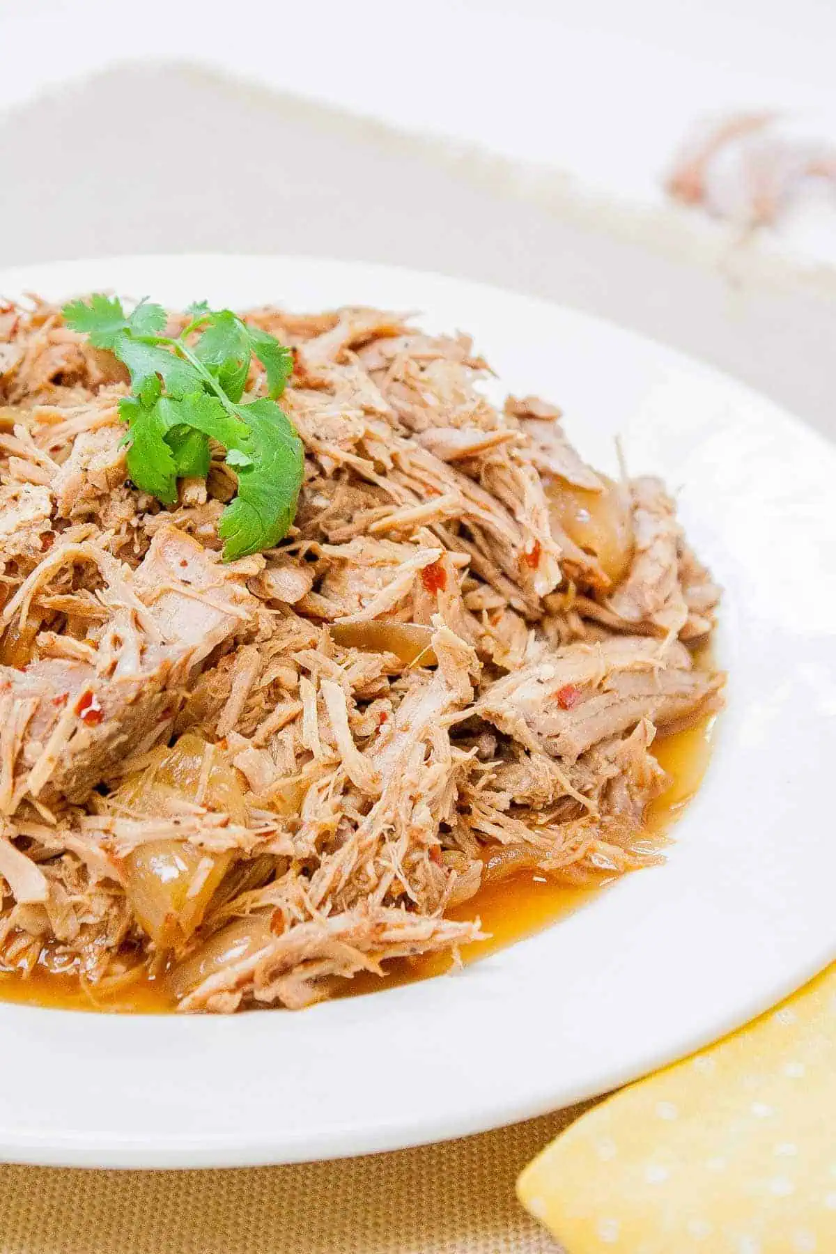 Easy Carolina Style Slow Cooker Pulled Pork. Rich spices and a tangy broth make this pulled pork recipe fork tender in a slow cooker. Tender flaky pulled pork to use on sandwiches, with sides or salads. #pulledpork #slowcookerpork #pork Carolina Style Slow Cooker Pulled Pork on a plate with a parsley garnish