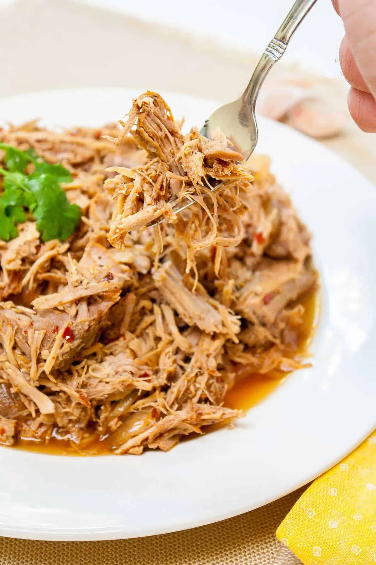 A close up of Carolina Style Slow Cooker Pulled Pork on a fork A close up of Carolina Style Slow Cooker Pulled Pork on a fork